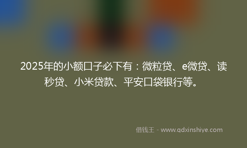 2025年的小额口子必下有：微粒贷、e微贷、读秒贷、小米贷款、平安口袋银行等。