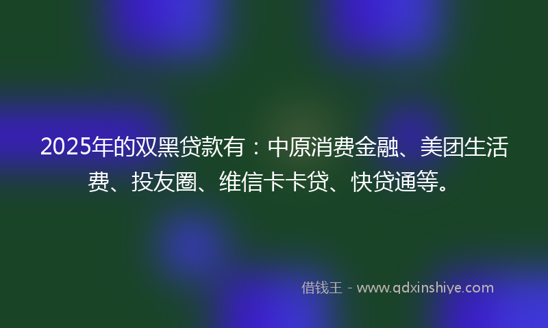 2025年的双黑贷款有：中原消费金融、美团生活费、投友圈、维信卡卡贷、快贷通等。