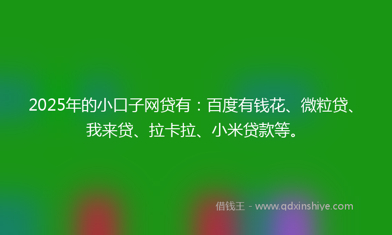 2025年的小口子网贷有：百度有钱花、微粒贷、我来贷、拉卡拉、小米贷款等。