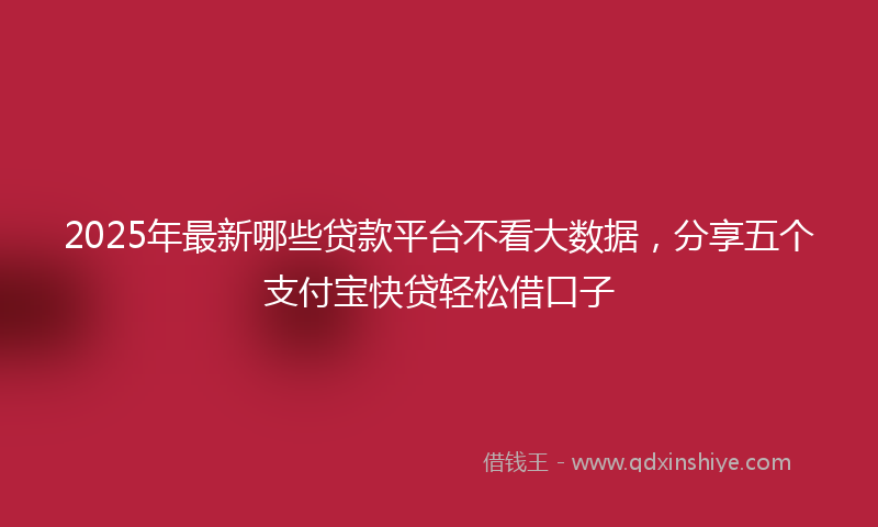 2025年最新哪些贷款平台不看大数据，分享五个支付宝快贷轻松借口子