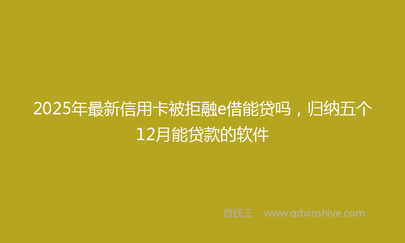 2025年最新信用卡被拒融e借能贷吗，归纳五个12月能贷款的软件