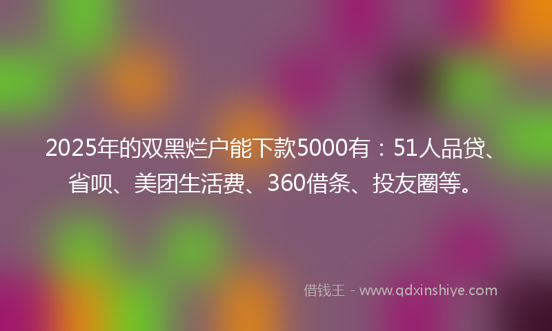 2025年的双黑烂户能下款5000有：51人品贷、省呗、美团生活费、360借条、投友圈等。