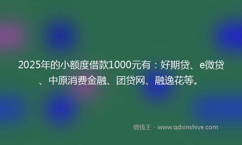 2025年的小额度借款1000元有：好期贷、e微贷、中原消费金融、团贷网、融逸花等。