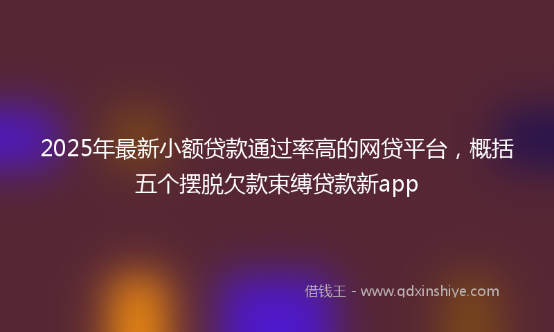 2025年最新小额贷款通过率高的网贷平台，概括五个摆脱欠款束缚贷款新app