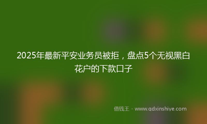 2025年最新平安业务员被拒，盘点5个无视黑白花户的下款口子