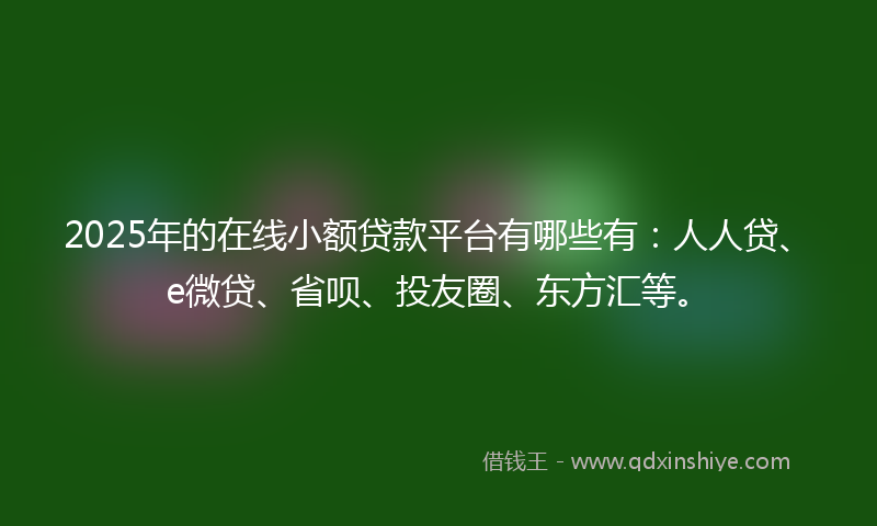 2025年的在线小额贷款平台有哪些有：人人贷、e微贷、省呗、投友圈、东方汇等。