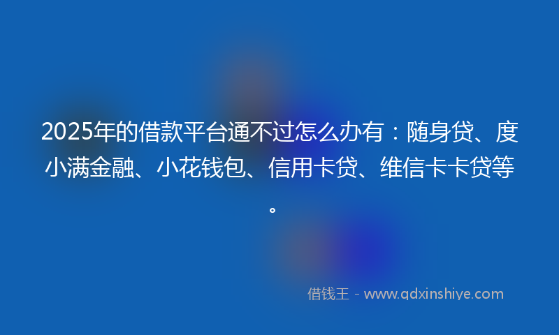 2025年的借款平台通不过怎么办有：随身贷、度小满金融、小花钱包、信用卡贷、维信卡卡贷等。