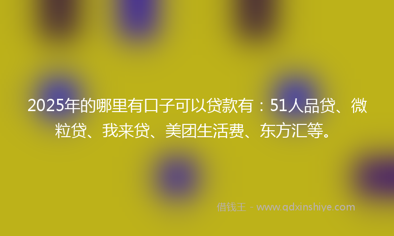 2025年的哪里有口子可以贷款有：51人品贷、微粒贷、我来贷、美团生活费、东方汇等。