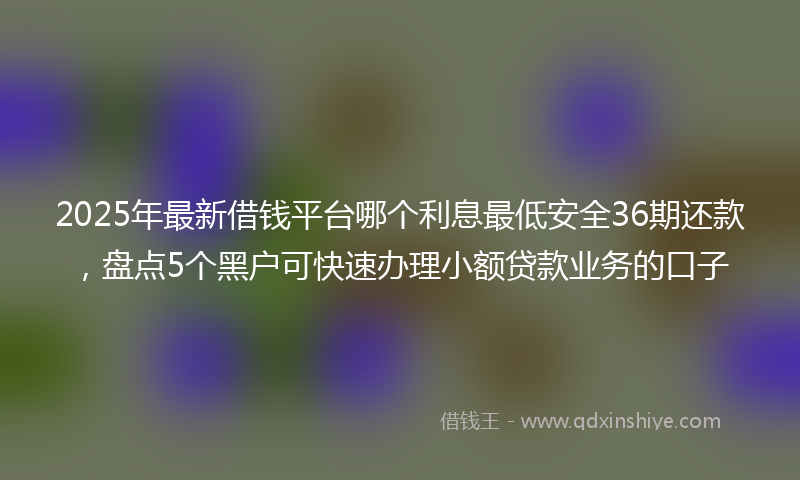 2025年最新借钱平台哪个利息最低安全36期还款，盘点5个黑户可快速办理小额贷款业务的口子