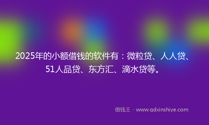 2025年的小额借钱的软件有：微粒贷、人人贷、51人品贷、东方汇、滴水贷等。