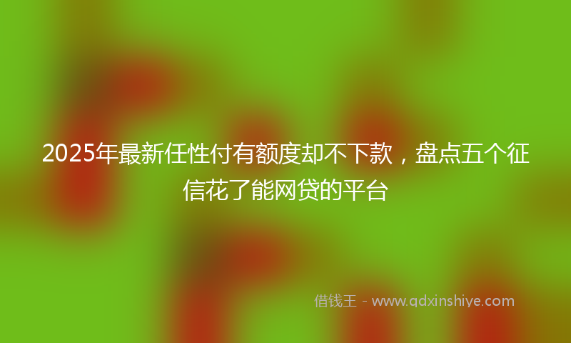 2025年最新任性付有额度却不下款，盘点五个征信花了能网贷的平台