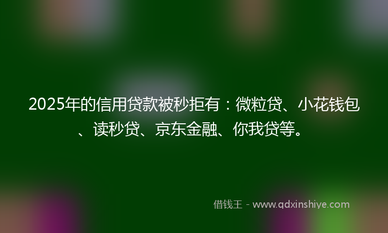 2025年的信用贷款被秒拒有：微粒贷、小花钱包、读秒贷、京东金融、你我贷等。