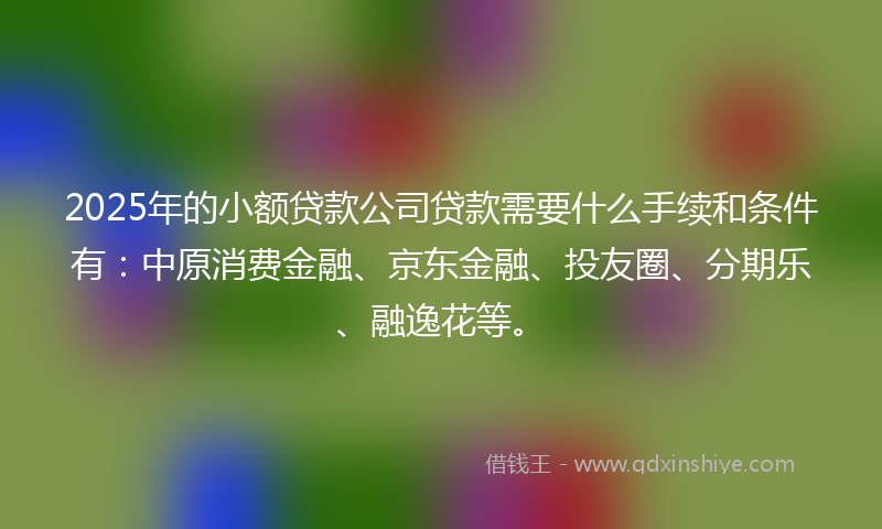 2025年的小额贷款公司贷款需要什么手续和条件有：中原消费金融、京东金融、投友圈、分期乐、融逸花等。
