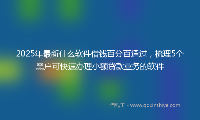 2025年最新什么软件借钱百分百通过，梳理5个黑户可快速办理小额贷款业务的软件