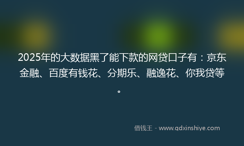 2025年的大数据黑了能下款的网贷口子有：京东金融、百度有钱花、分期乐、融逸花、你我贷等。