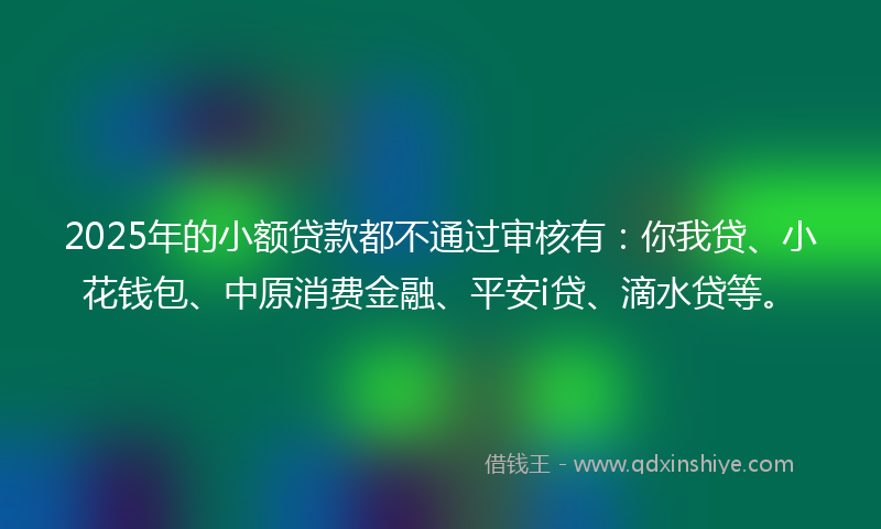 2025年的小额贷款都不通过审核有：你我贷、小花钱包、中原消费金融、平安i贷、滴水贷等。