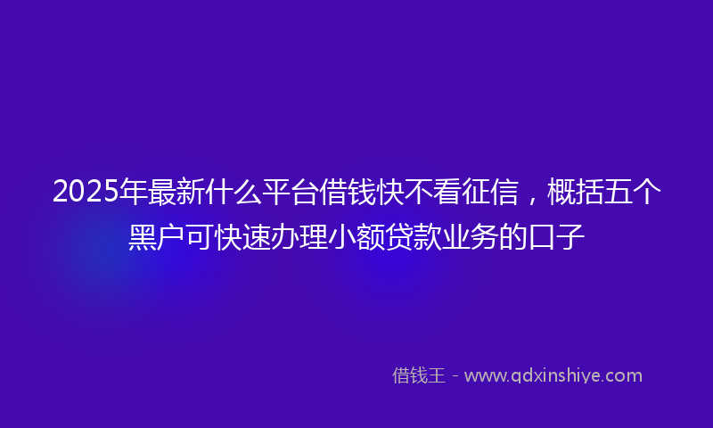 2025年最新什么平台借钱快不看征信，概括五个黑户可快速办理小额贷款业务的口子