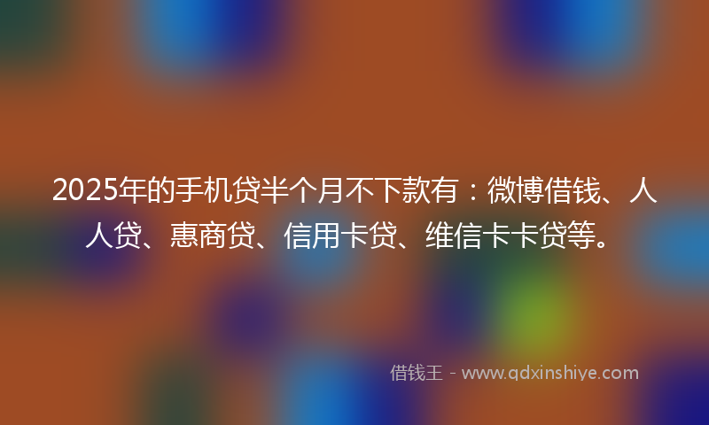 2025年的手机贷半个月不下款有：微博借钱、人人贷、惠商贷、信用卡贷、维信卡卡贷等。