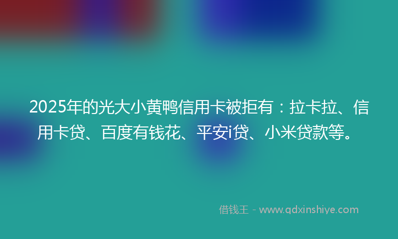 2025年的光大小黄鸭信用卡被拒有：拉卡拉、信用卡贷、百度有钱花、平安i贷、小米贷款等。