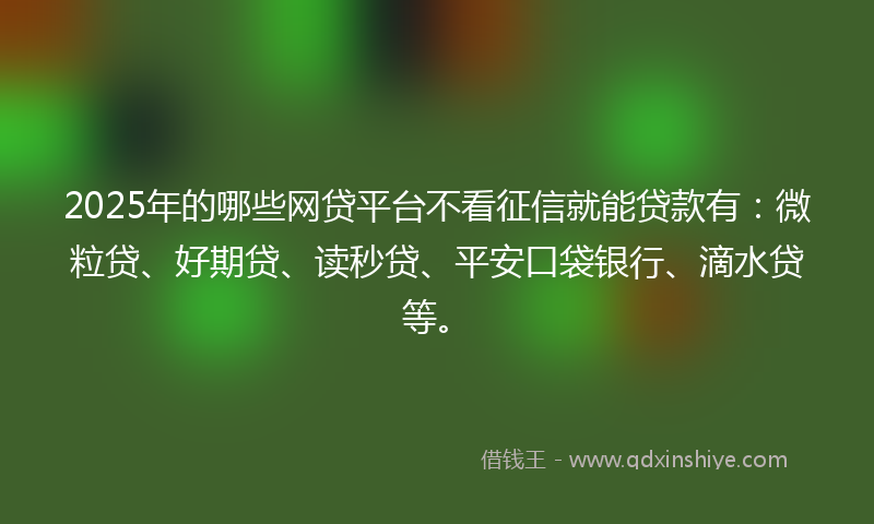 2025年的哪些网贷平台不看征信就能贷款有：微粒贷、好期贷、读秒贷、平安口袋银行、滴水贷等。