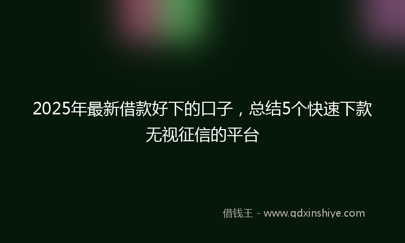 2025年最新借款好下的口子，总结5个快速下款无视征信的平台