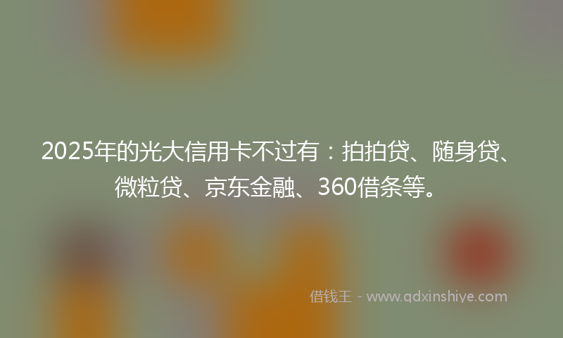 2025年的光大信用卡不过有：拍拍贷、随身贷、微粒贷、京东金融、360借条等。