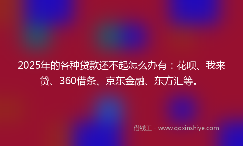 2025年的各种贷款还不起怎么办有：花呗、我来贷、360借条、京东金融、东方汇等。