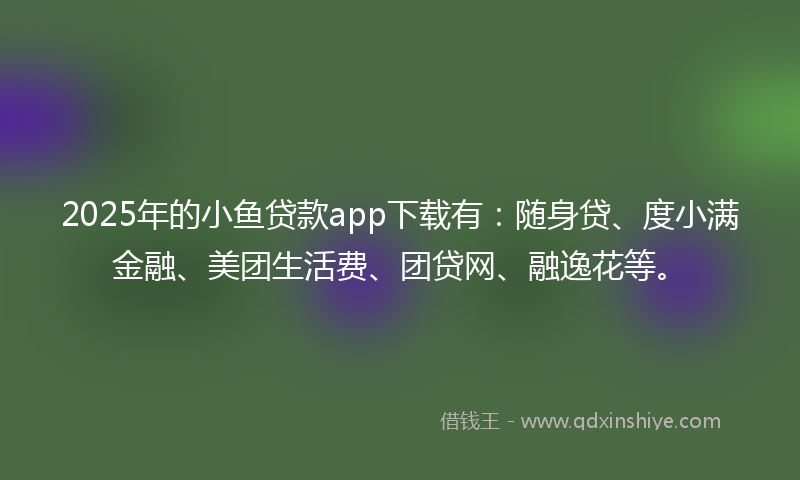 2025年的小鱼贷款app下载有：随身贷、度小满金融、美团生活费、团贷网、融逸花等。