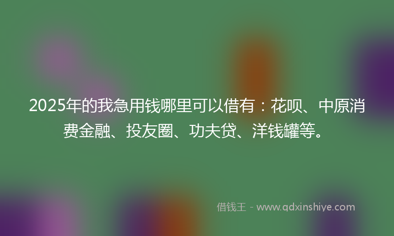 2025年的我急用钱哪里可以借有：花呗、中原消费金融、投友圈、功夫贷、洋钱罐等。