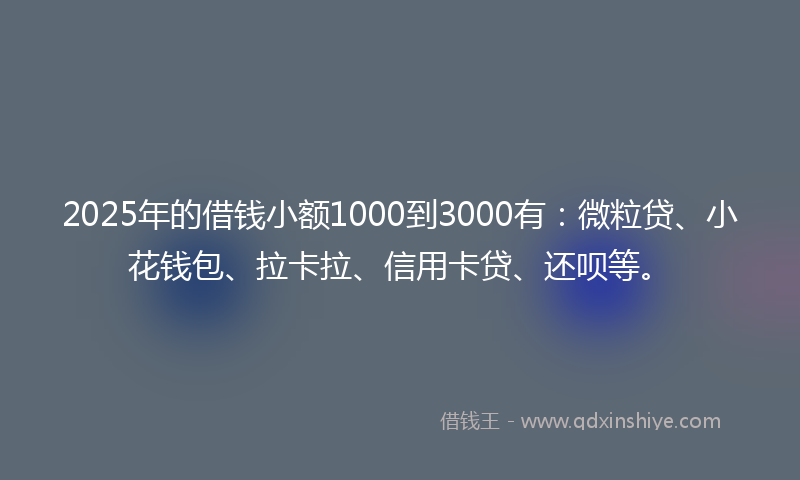 2025年的借钱小额1000到3000有：微粒贷、小花钱包、拉卡拉、信用卡贷、还呗等。
