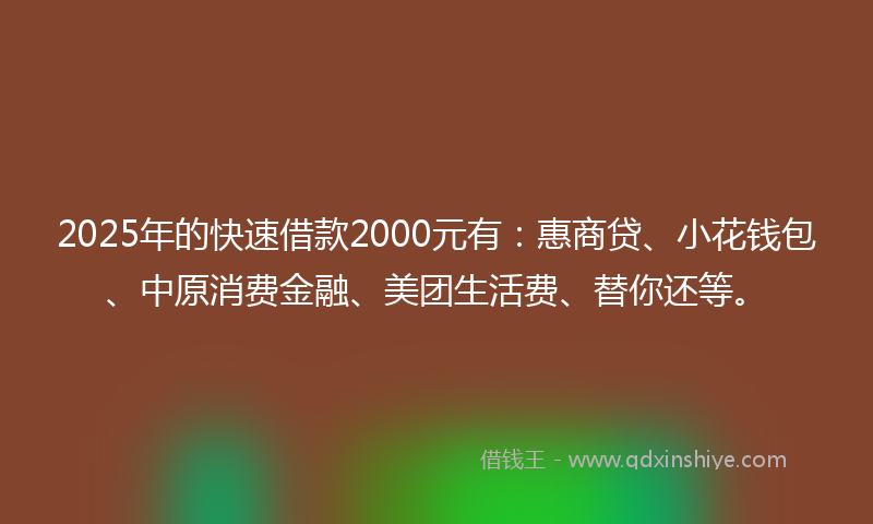 2025年的快速借款2000元有：惠商贷、小花钱包、中原消费金融、美团生活费、替你还等。