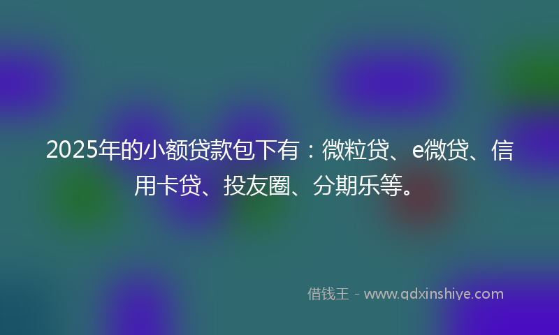 2025年的小额贷款包下有：微粒贷、e微贷、信用卡贷、投友圈、分期乐等。