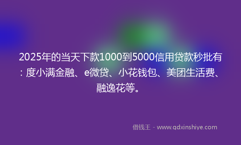 2025年的当天下款1000到5000信用贷款秒批有：度小满金融、e微贷、小花钱包、美团生活费、融逸花等。