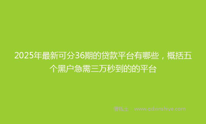 2025年最新可分36期的贷款平台有哪些，概括五个黑户急需三万秒到的的平台