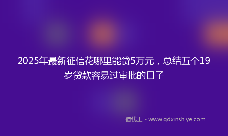 2025年最新征信花哪里能贷5万元，总结五个19岁贷款容易过审批的口子