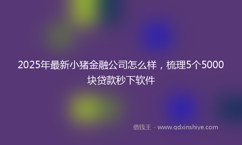 2025年最新小猪金融公司怎么样，梳理5个5000块贷款秒下软件