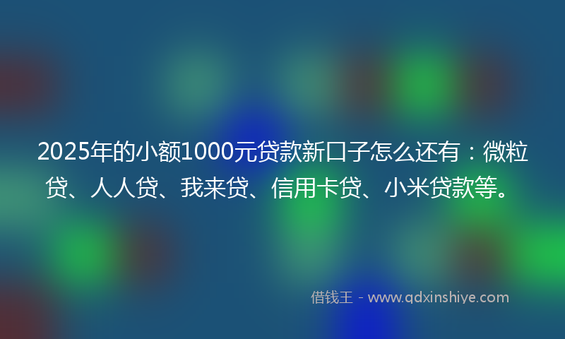 2025年的小额1000元贷款新口子怎么还有：微粒贷、人人贷、我来贷、信用卡贷、小米贷款等。