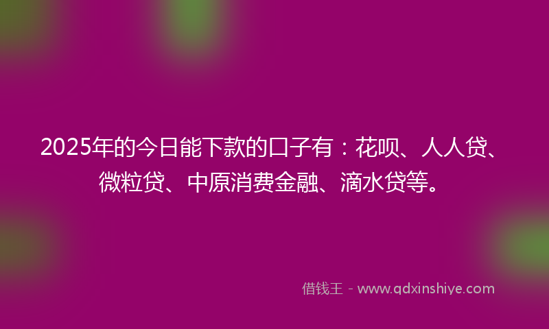 2025年的今日能下款的口子有：花呗、人人贷、微粒贷、中原消费金融、滴水贷等。