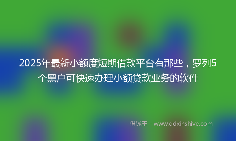 2025年最新小额度短期借款平台有那些，罗列5个黑户可快速办理小额贷款业务的软件