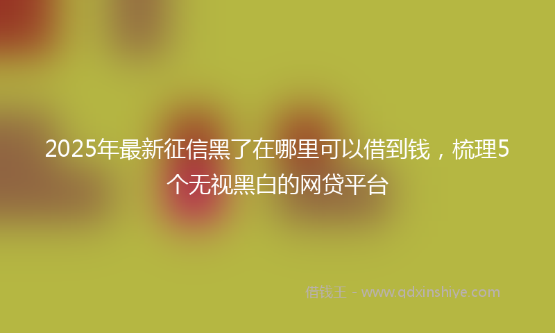 2025年最新征信黑了在哪里可以借到钱，梳理5个无视黑白的网贷平台