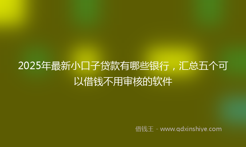 2025年最新小口子贷款有哪些银行，汇总五个可以借钱不用审核的软件