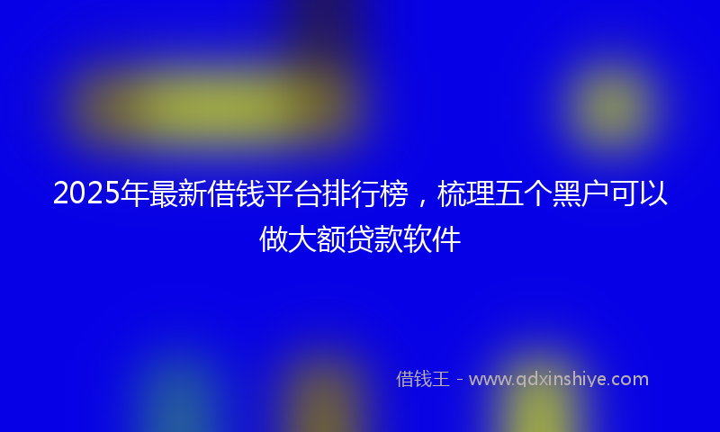 2025年最新借钱平台排行榜，梳理五个黑户可以做大额贷款软件