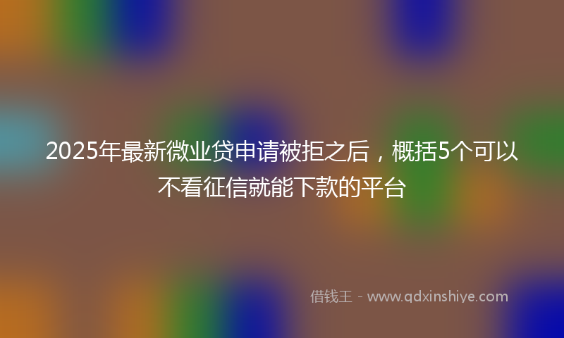 2025年最新微业贷申请被拒之后，概括5个可以不看征信就能下款的平台
