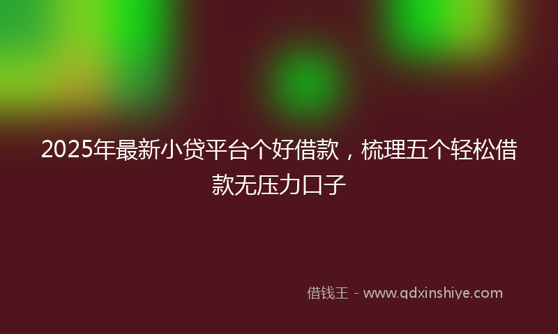 2025年最新小贷平台个好借款，梳理五个轻松借款无压力口子