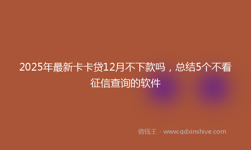 2025年最新卡卡贷12月不下款吗，总结5个不看征信查询的软件