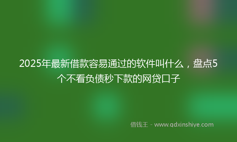 2025年最新借款容易通过的软件叫什么，盘点5个不看负债秒下款的网贷口子