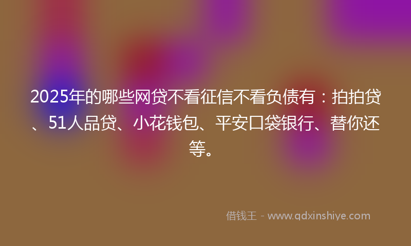 2025年的哪些网贷不看征信不看负债有：拍拍贷、51人品贷、小花钱包、平安口袋银行、替你还等。
