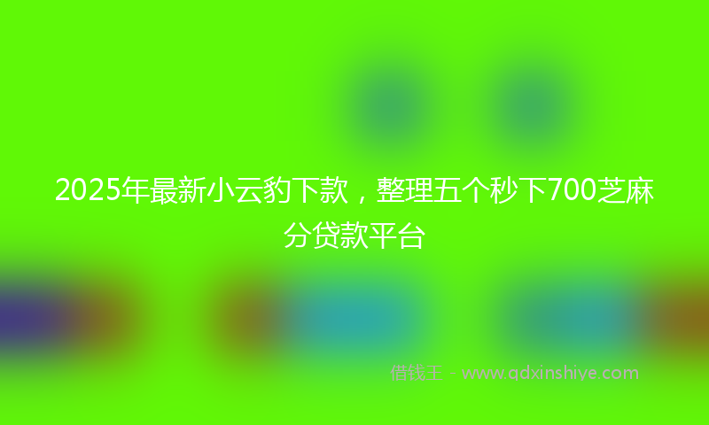 2025年最新小云豹下款，整理五个秒下700芝麻分贷款平台
