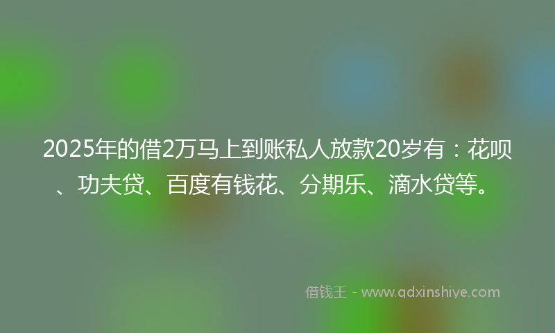 2025年的借2万马上到账私人放款20岁有：花呗、功夫贷、百度有钱花、分期乐、滴水贷等。