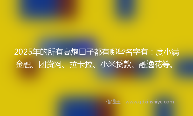 2025年的所有高炮口子都有哪些名字有：度小满金融、团贷网、拉卡拉、小米贷款、融逸花等。